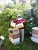 hive -24.jpg hive -24.jpg
